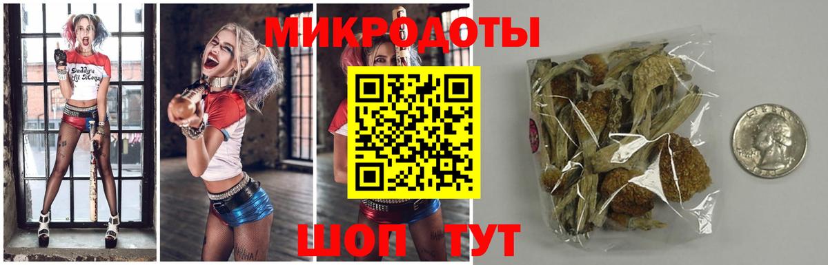 Ишим  Галлюциногенные грибы мицелий  Вход с VPN 